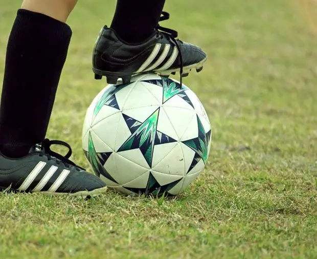 的是内